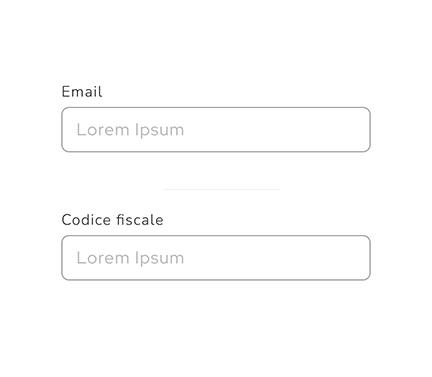 Usa etichette come “Email” e “Codice fiscale”.